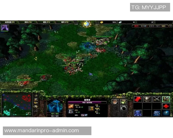 怎么看懂dota比赛-一、了解游戏基础-怎么看懂dota比赛