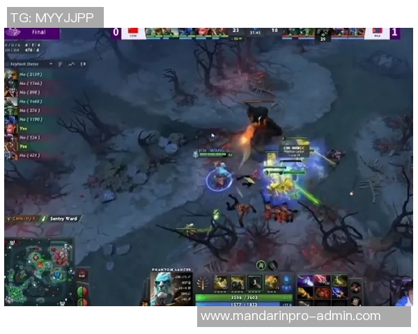 dota2 2017 重大比赛-DOTA2 2017重大比赛回顾-dota2 2017 重大比赛