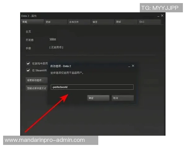 dota2怎么隐藏最近比赛-一、游戏设置中的隐私选项-dota2怎么隐藏最近比赛 dota2怎么隐藏最近比赛-一、游戏设置中的隐私选项-dota2怎么隐藏最近比赛